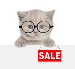 Funny smart tiny kitten wearing eyeglasses shows signboard with labeled "sale" above blank white banner. isolated on white background