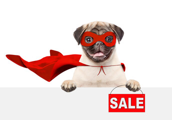 Cute Pug puppy wearing superhero costume looking away above empty white banner and  showing...
