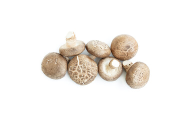 Fresh shiitake mushroom isolated on white background, Raw mushroom, Food ingredient