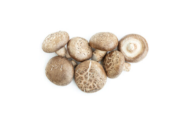 Fresh shiitake mushroom isolated on white background, Raw mushroom, Food ingredient