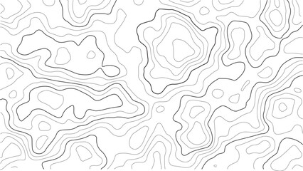 White seamless topography contour texture with abstract curved relief lines, elevation mapping grid overlays, and modern geographic vector background for nature, landscape, and outdoor design projects