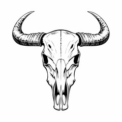 Head Cow Skull With Horns image vector Isolated On White Background © kagras
