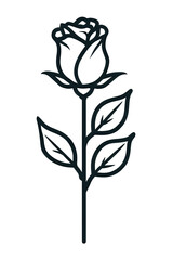 Obraz premium Minimal line drawing of a rose bud on stem with leaves, clean vertical style, isolated on transparent background. 