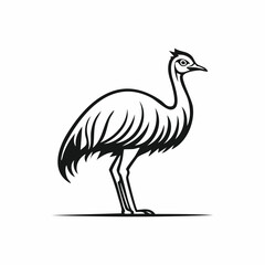 Emu bird simple black line art image, Black bold outline vector icon, Bird vector illustration