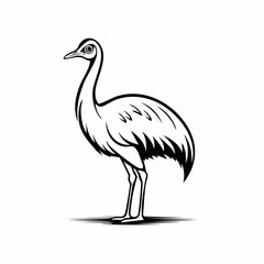 Emu bird simple black line art image, Black bold outline vector icon, Bird vector illustration