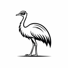 Emu bird simple black line art image, Black bold outline vector icon, Bird vector illustration