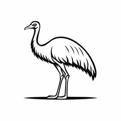 Emu bird simple black line art image, Black bold outline vector icon, Bird vector illustration