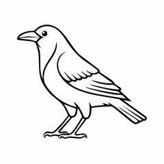 Crow bird simple black line art image, Black bold outline vector icon, Bird vector illustration
