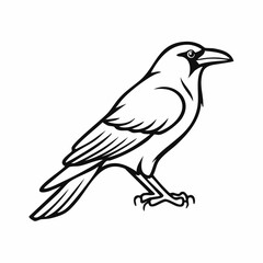 Crow bird simple black line art image, Black bold outline vector icon, Bird vector illustration
