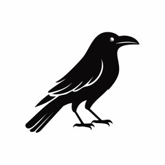 Crow bird black silhouette vector, Simple silhouette Design vector icon with white background.
