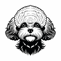 bichon frise dog black silhouette vector with white background