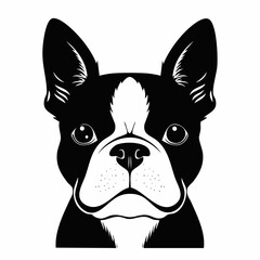 Boston terrier dog black silhouette vector with white background
