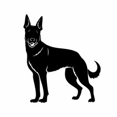 Belgian malinois dog black silhouette vector with white background