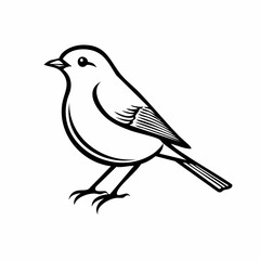 Robin bird simple black line art image, Black bold outline vector icon, Bird vector illustration