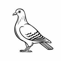 Pigeon bird simple black line art image, Black bold outline vector icon, Bird vector illustration
