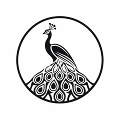 Peacock bird simple black line art image, Black bold outline vector icon, Bird vector illustration