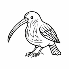 Kiwi bird simple black line art image, Black bold outline vector icon, Bird vector illustration