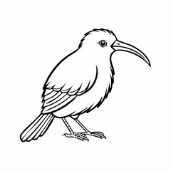 Kiwi bird simple black line art image, Black bold outline vector icon, Bird vector illustration