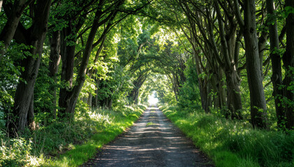 Enchanted Forest Pathway with Green Arching Trees