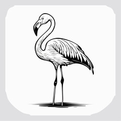 Flamingo bird simple black line art image, Black bold outline vector icon, Bird vector illustration