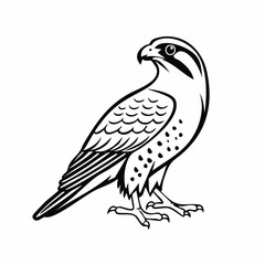 Falcon bird simple black line art image, Black bold outline vector icon, Bird vector illustration