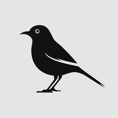 cuckoo bird black silhouette vector, Simple silhouette Design vector icon with white background. Wild bird