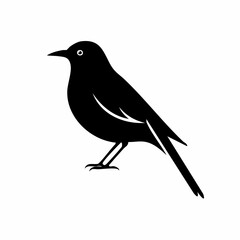 cuckoo bird black silhouette vector, Simple silhouette Design vector icon with white background. Wild bird