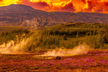 Fototapeta premium Großer Geysir in Island , Natur Schauspiel 