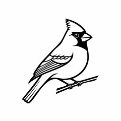 Cardinal bird simple black line art image, Black bold outline vector icon, Bird vector illustration