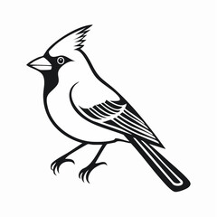 Cardinal bird simple black line art image, Black bold outline vector icon, Bird vector illustration