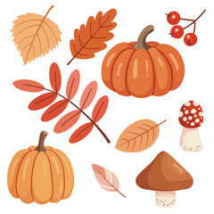 Vector set featuring a collection of autumn elements, colorful fall leaves and mushrooms. For seasonal design projects, Thanksgiving graphics, invitations, packaging, and autumn-themed decorations. 
