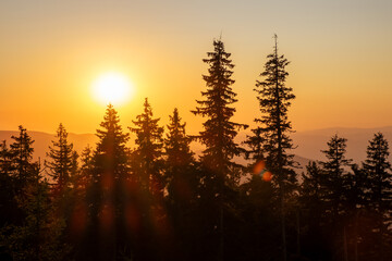 Scenic sunset Pamporovo Rhodope mountains Bulgaria, pine tree silhouettes under golden light showing peaceful untouched nature summer tourism eco holidays adventure travel perfect 