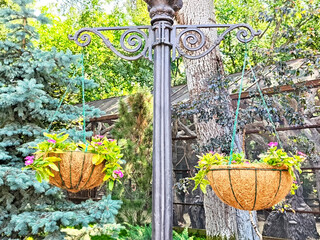 Hanging flower baskets bring color and charm to a serene garden setting in the afternoon sun