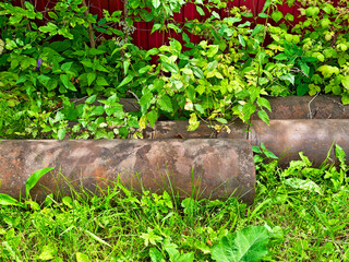 Old rusted pipes surrounded by lush green vegetation in a backyard setting during the day