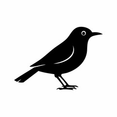 bird black silhouette vector, Simple silhouette Design vector icon with white background. Wild bird