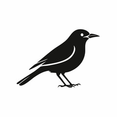 bird black silhouette vector, Simple silhouette Design vector icon with white background. Wild bird