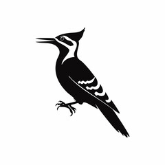 woodpecker bird black silhouette vector, Simple silhouette Design vector icon with white background. Wild bird