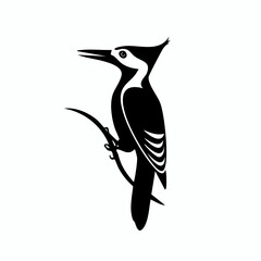 woodpecker bird black silhouette vector, Simple silhouette Design vector icon with white background. Wild bird