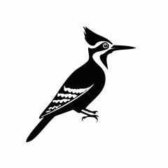 woodpecker bird black silhouette vector, Simple silhouette Design vector icon with white background. Wild bird