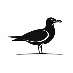 seagull bird black silhouette vector, Simple silhouette Design vector icon with white background. Wild bird