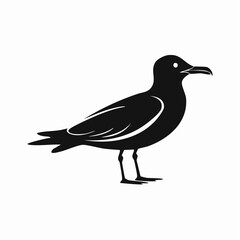 seagull bird black silhouette vector, Simple silhouette Design vector icon with white background. Wild bird