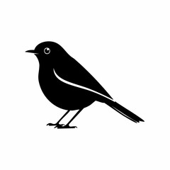robin bird black silhouette vector, Simple silhouette Design vector icon with white background. Wild bird