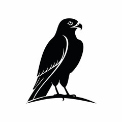 hawk bird black silhouette vector, Simple silhouette Design vector icon with white background. Wild bird
