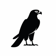 hawk bird black silhouette vector, Simple silhouette Design vector icon with white background. Wild bird