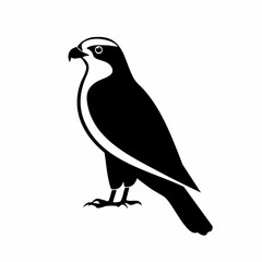 falcon bird black silhouette vector, Simple silhouette Design vector icon with white background. Wild bird