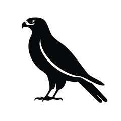 falcon bird black silhouette vector, Simple silhouette Design vector icon with white background. Wild bird