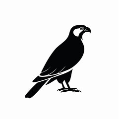 falcon bird black silhouette vector, Simple silhouette Design vector icon with white background. Wild bird