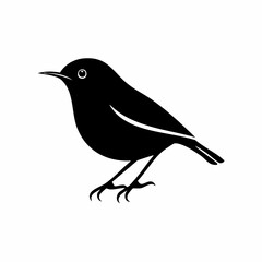 wren bird black silhouette vector, Simple silhouette Design vector icon with white background. Wild bird