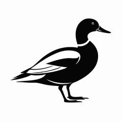 duck bird black silhouette vector, Simple silhouette Design vector icon with white background. Wild bird