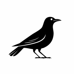starling bird black silhouette vector, Simple silhouette Design vector icon with white background. Wild bird